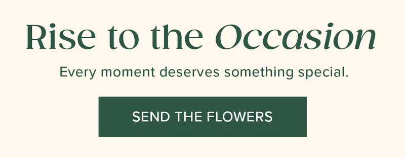 Rise to the Occasion. Every moment deserves something special. Send Flowers