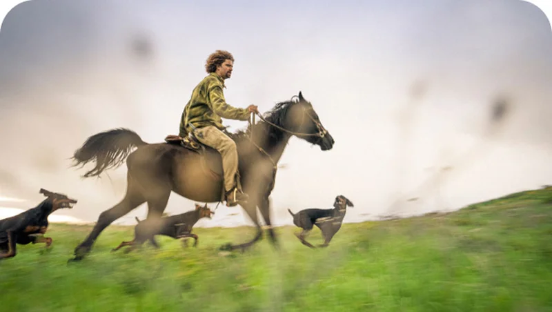 A person riding a horse through a field with dogs.