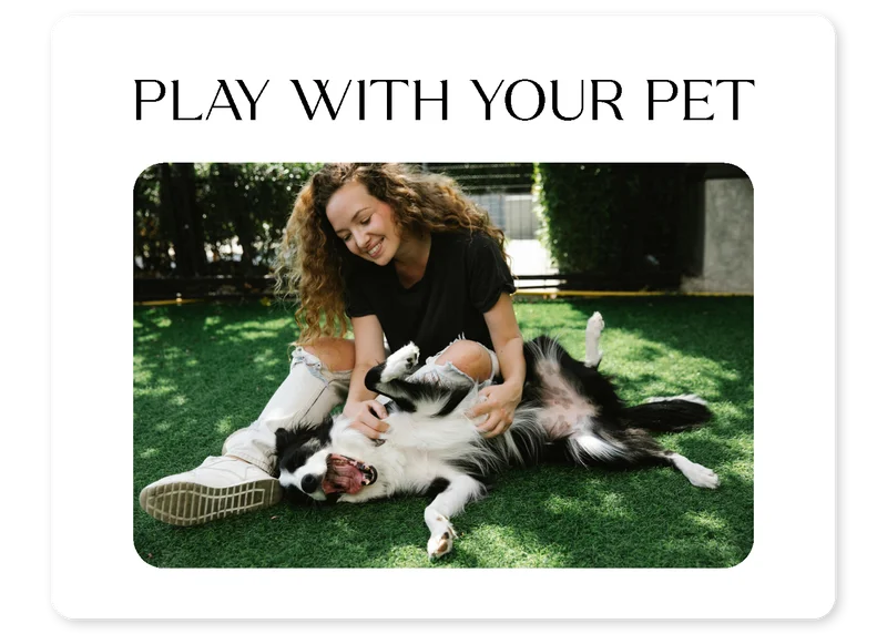 Play with your pet