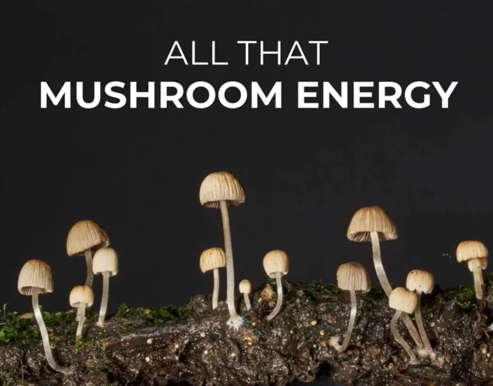 All that mushroom energy