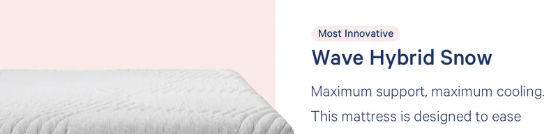 Wave Hybrid Snow