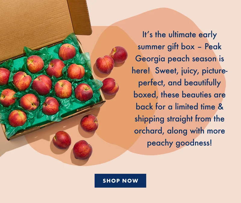 shop now shop now