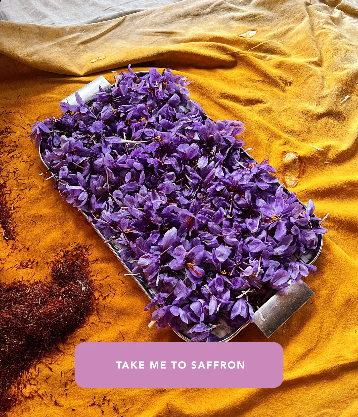 Take me to saffron