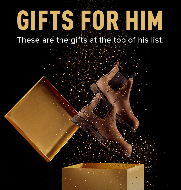 GIFTS FOR HIM. These are the gifts at the top of his list.