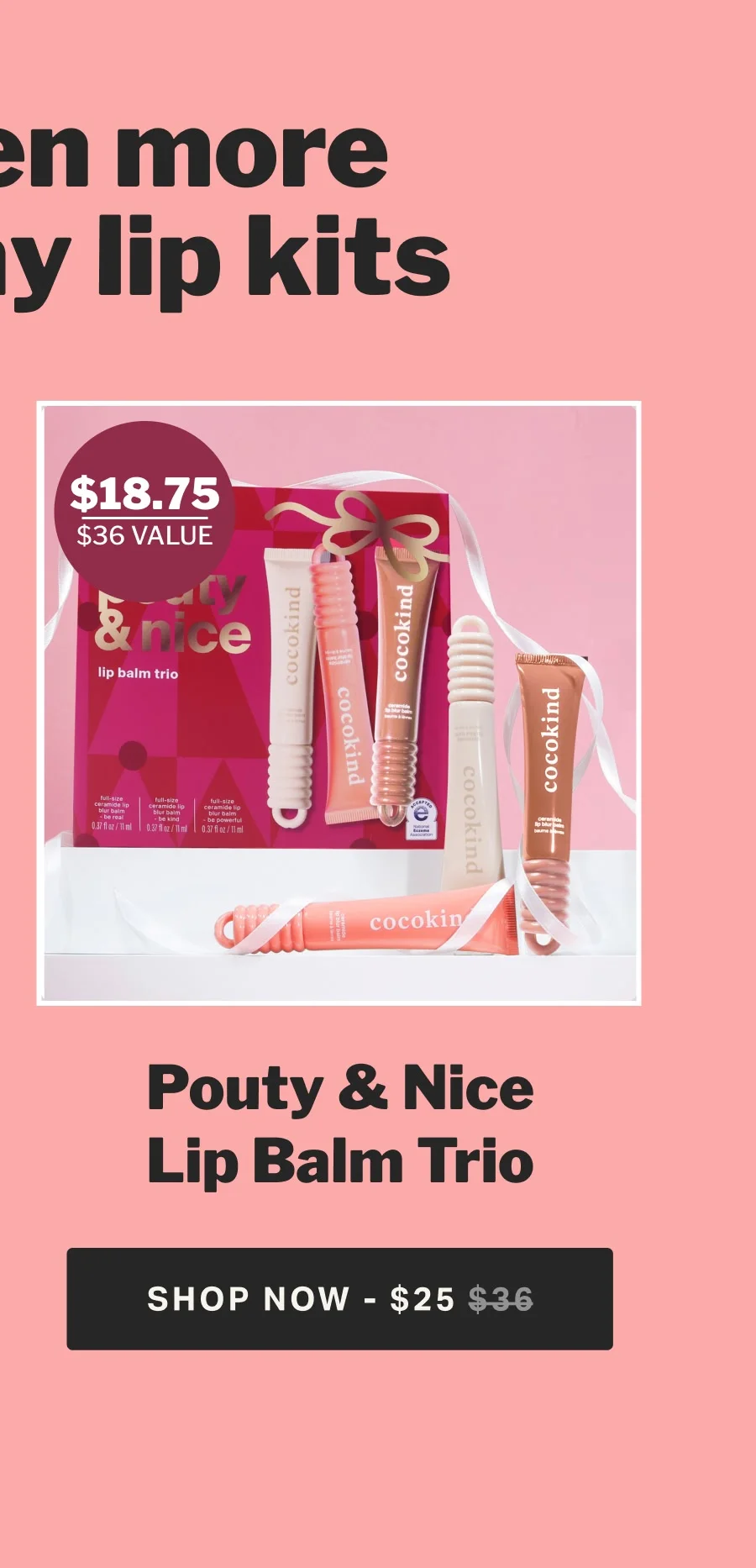 Pouty & Nice Lip Balm Trio
