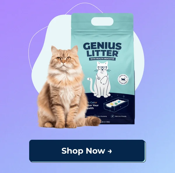 Shop Genius Litter Now