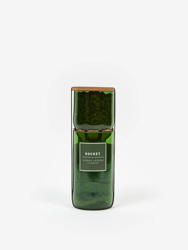 Image of Hydro-Herb Grow Your Own Rocket - Multi