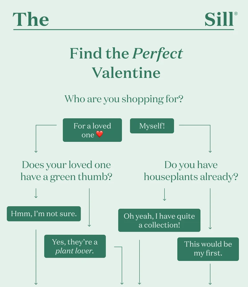 Find the Perfect Valentine