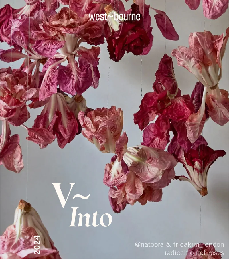 V~Into