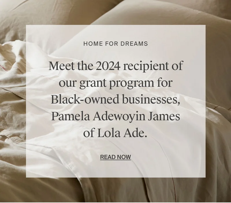 Meet Lola Ade | Read Now
