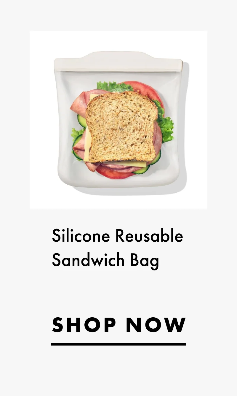 Silicone Reusable Sandwich Bag | Shop Now
