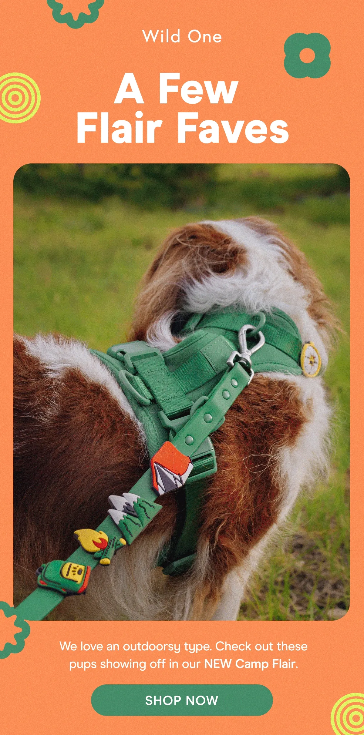We love an outdoorsy type. Check out these pups showing off in our NEW Camp Flair.