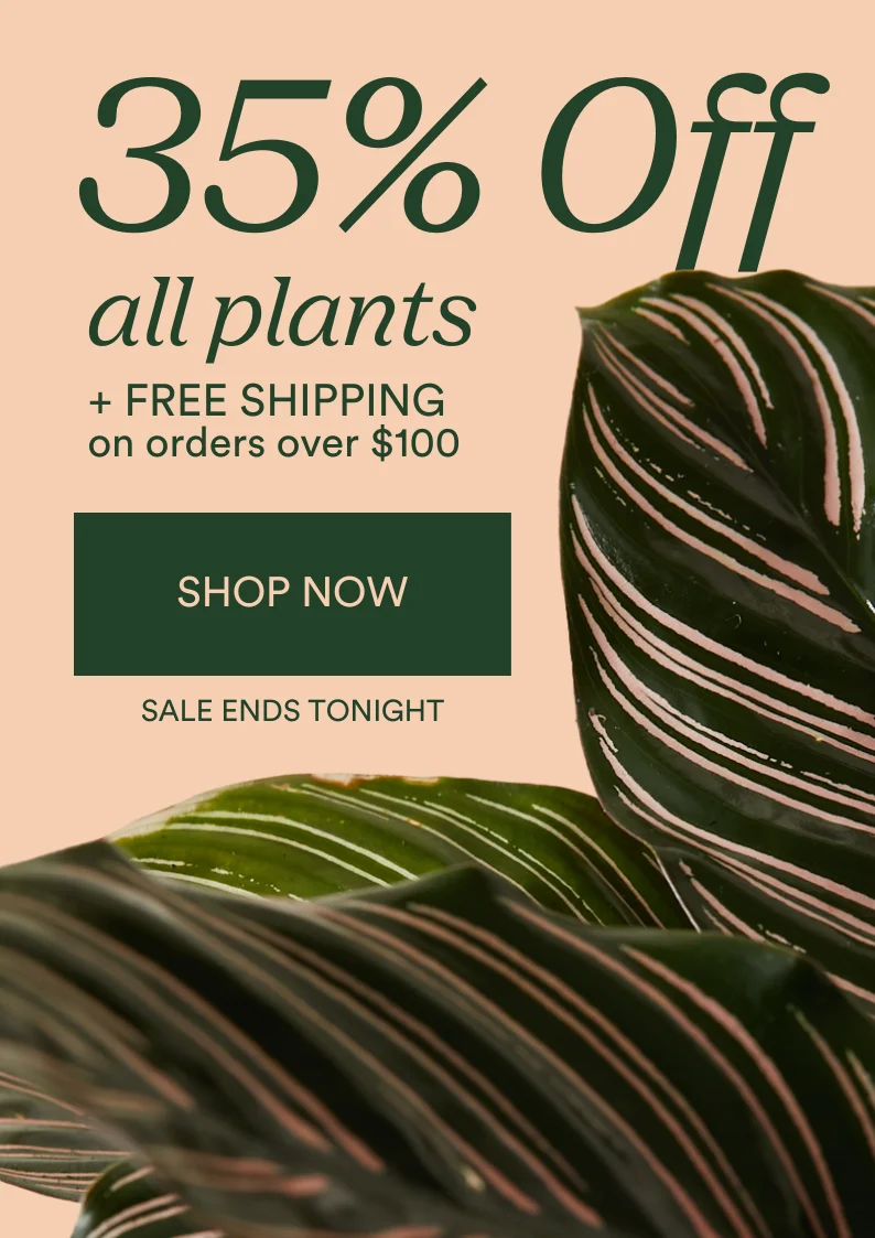 save 35% on all plants + free shipping over $100