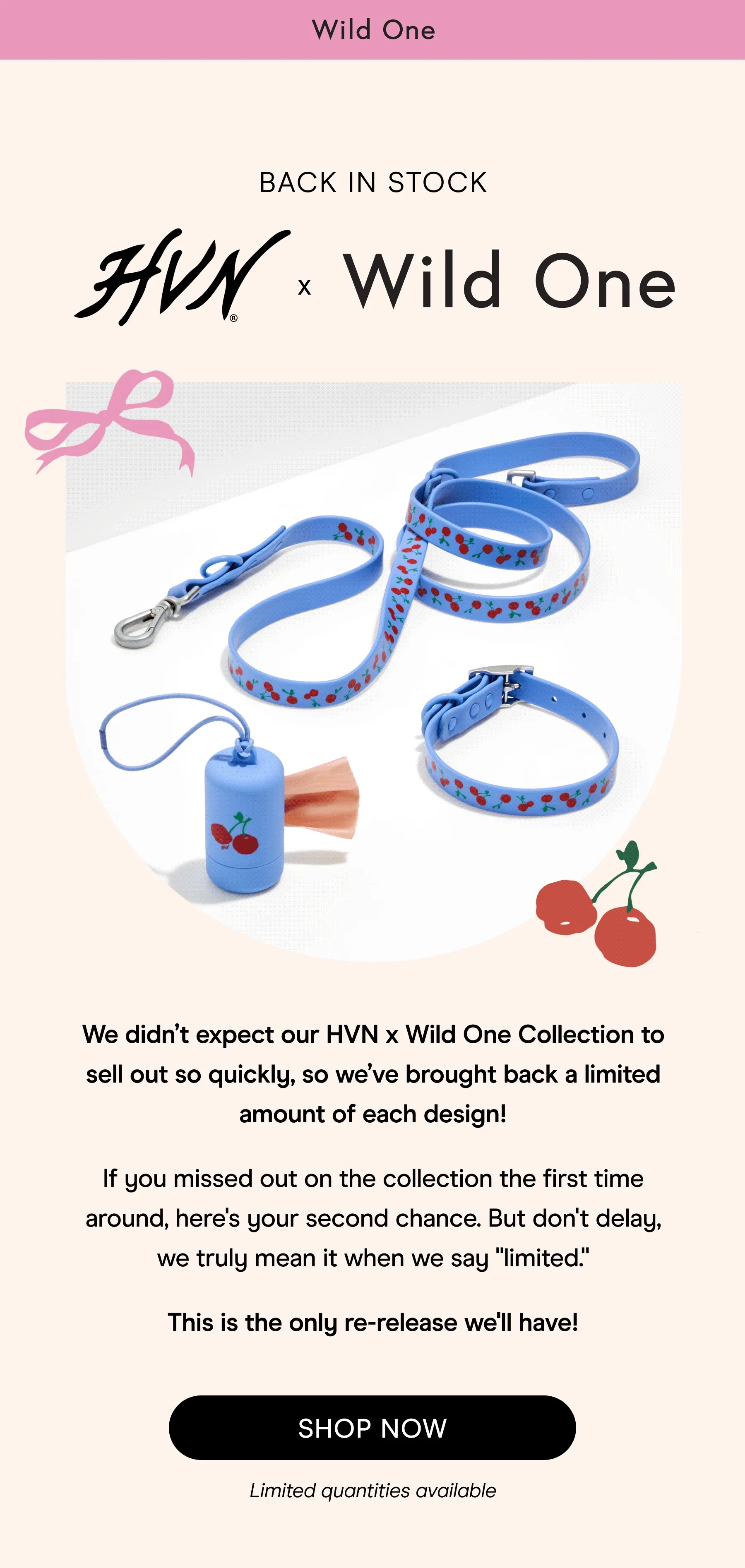 BACK IN STOCK HVN x Wild One
