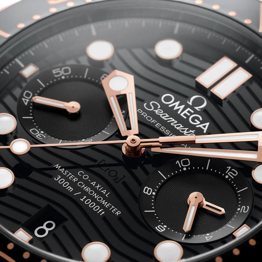 21022445101001 watch