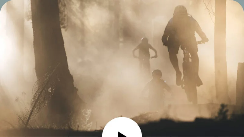 A group of bikers ride through a sunlit and dusty forest.