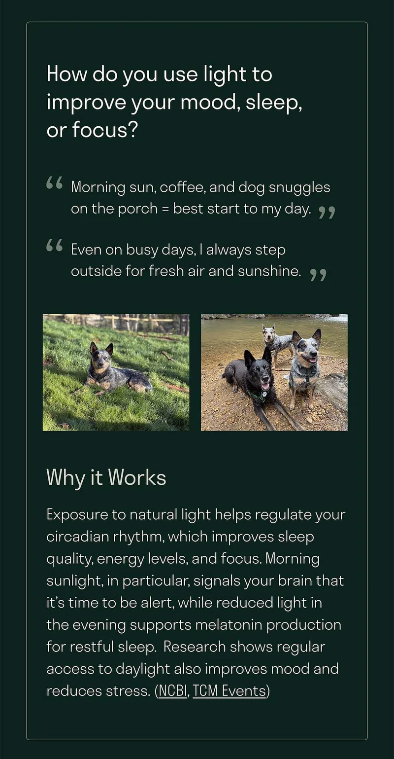 Exposure to natural light helps regulate your circadian rhythm, which improves sleep quality, energy levels, and focus. Morning sunlight, in particular, signals your brain that it’s time to be alert, while reduced light in the evening supports melatonin production for restful sleep.  Research shows regular access to daylight also improves mood and reduces stress. (NCBI, TCM Events)