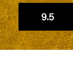 9.5