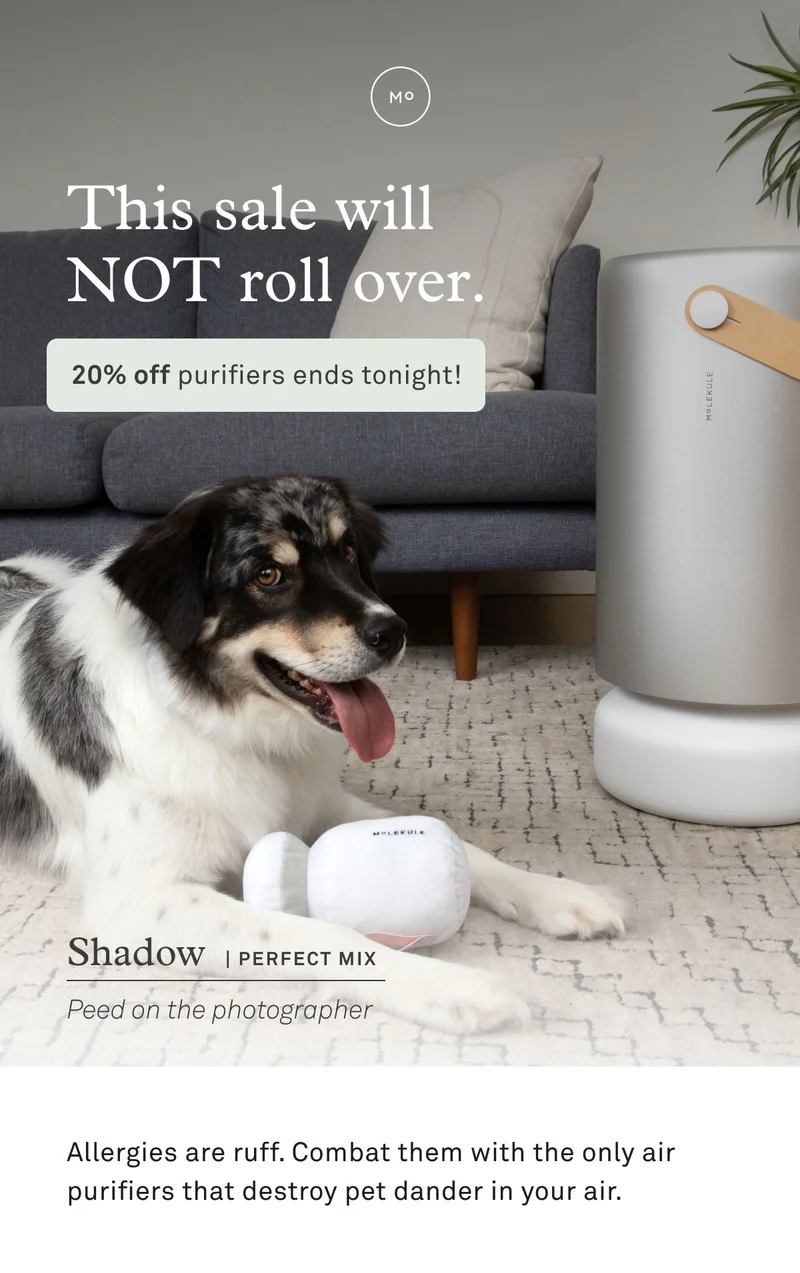 This sale will NOT roll over. 20% off purifiers ends tonight!