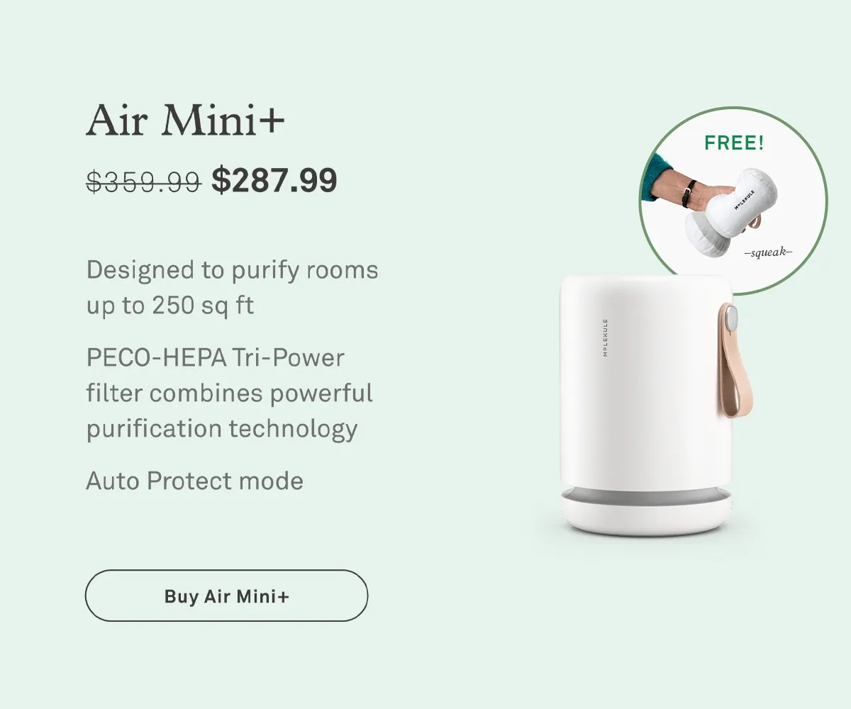 Air Mini+
