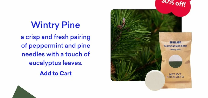 Wintry Pine