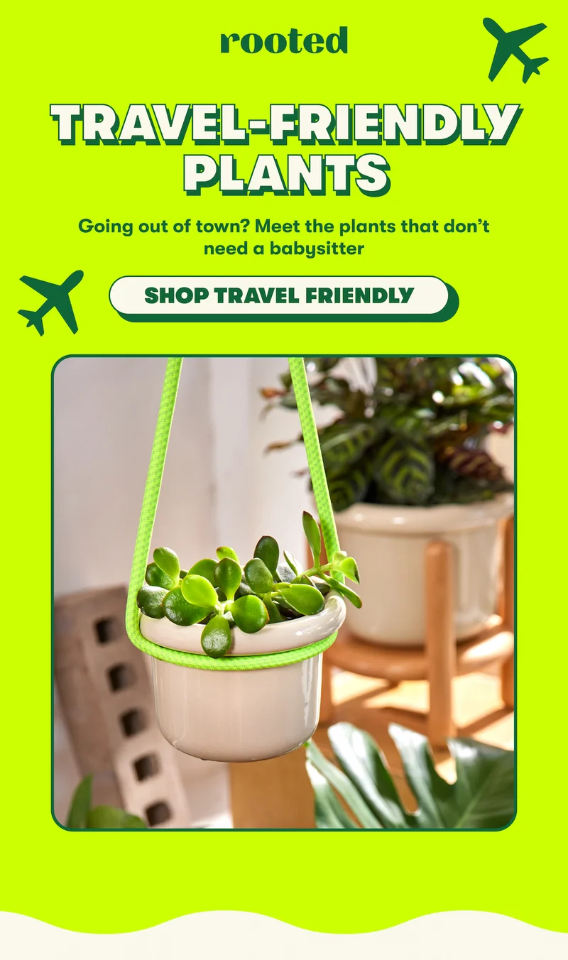 Travel Friendly Plants
