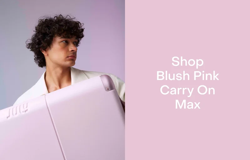 Shop Blush Pink Carry On Max