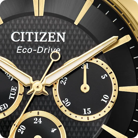 Citizen Rolan watch dial
