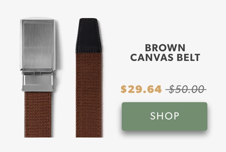Shop Brown Canvas Belt