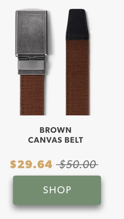 Shop Brown Canvas Belt