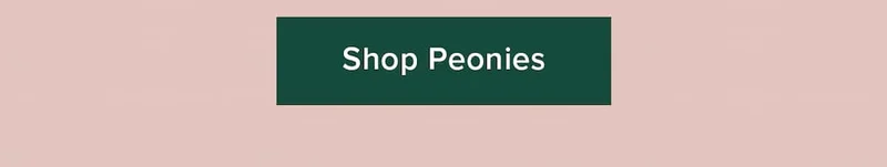 Shop Peonies