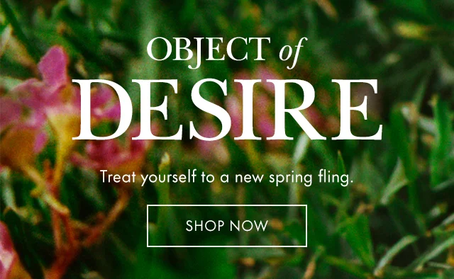 Object of Desire