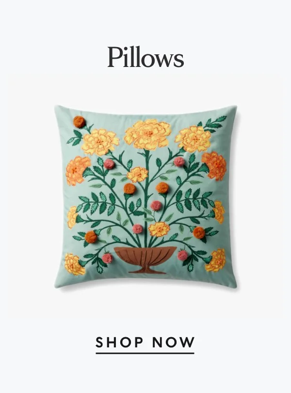 Shop Pillows