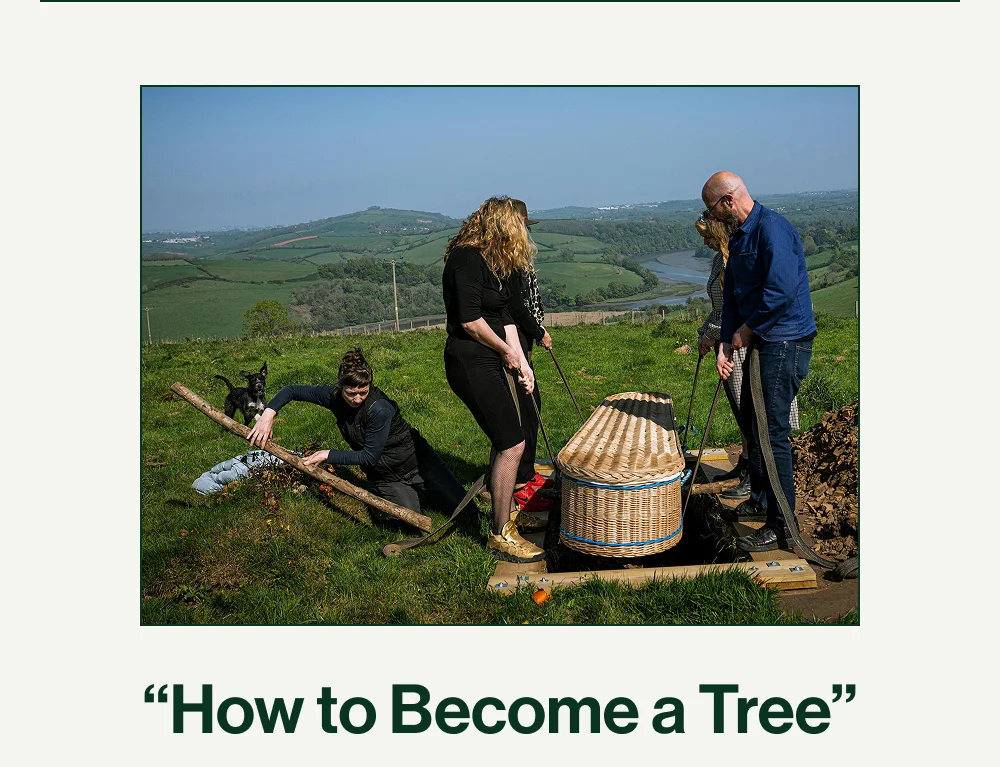 How to become a tree