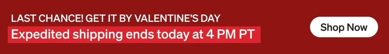 4 Free Gifts