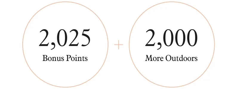 Animation of fireworks erupting and revealing 2,025 bonus points. Then, mountains appear and reveal 2,000 bonus points.