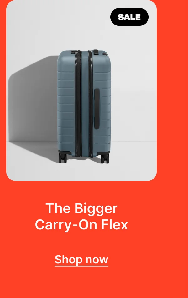 The Bigger Carry-On Flex