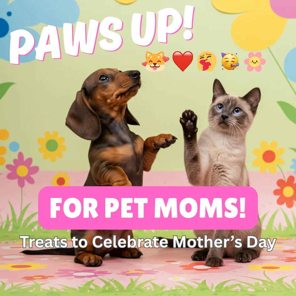Pet Moms Day