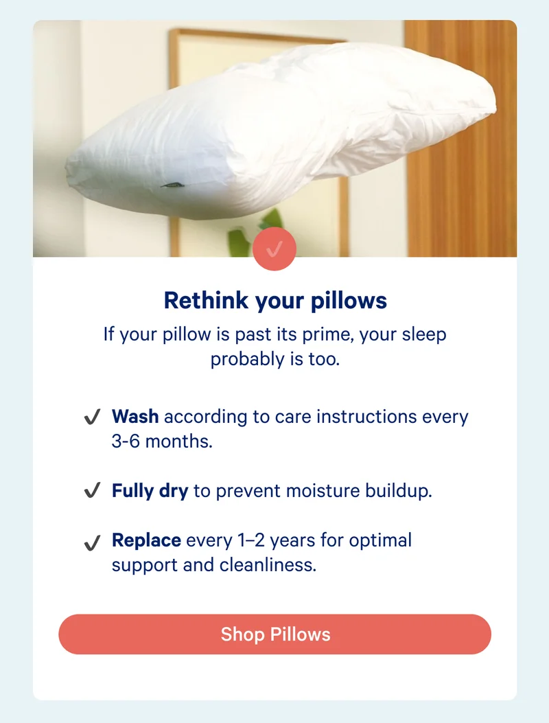 Shop pillows