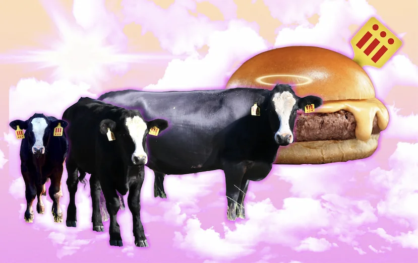 an image of a group of cows standing in front of a hamburger