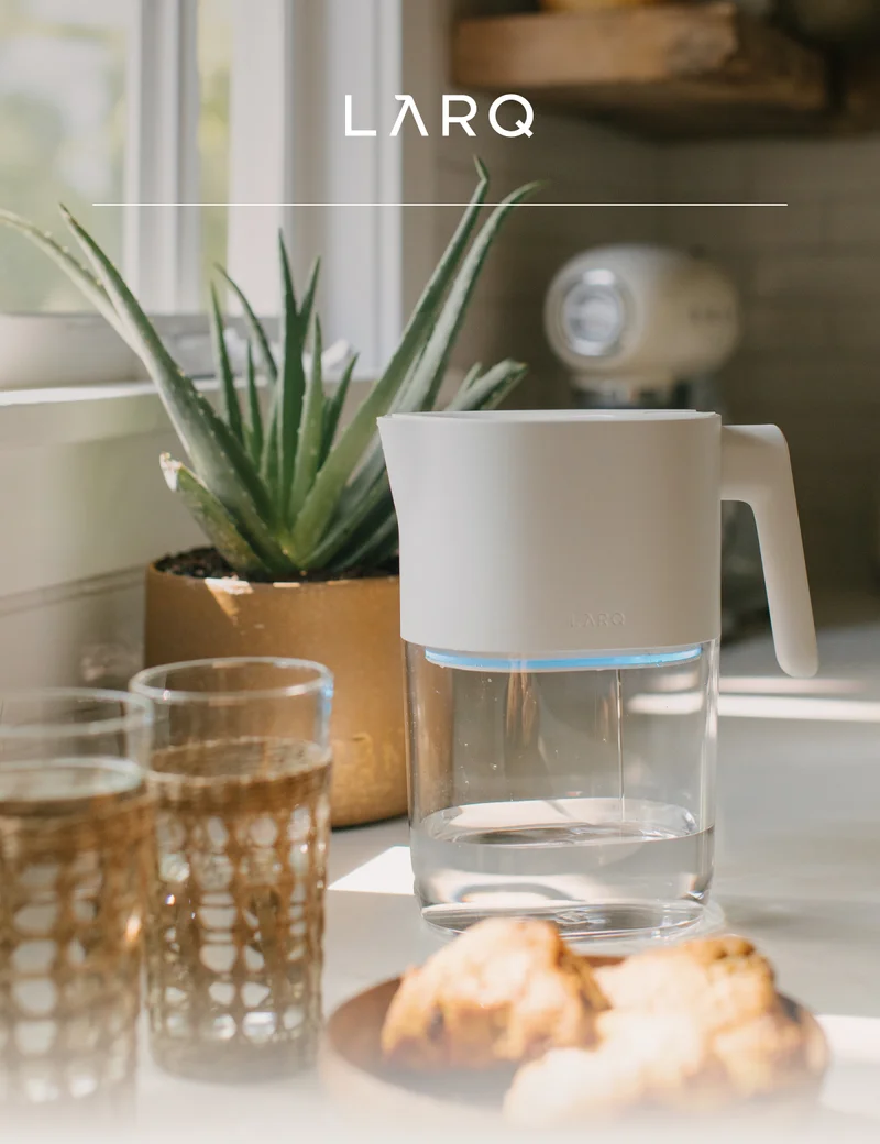 LARQ logo + larq pitcher purevis on kitchen counter