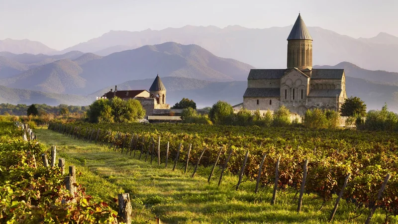 Vineyard and mountains in Georgia