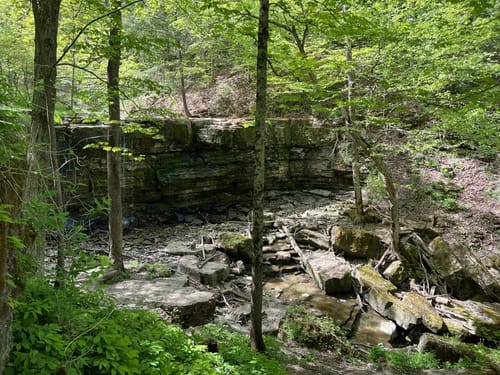 Trail 2