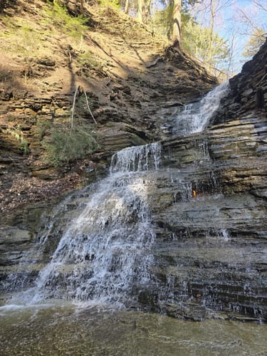 Trail 5