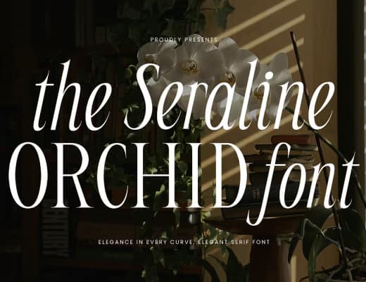 Seraline Orchid