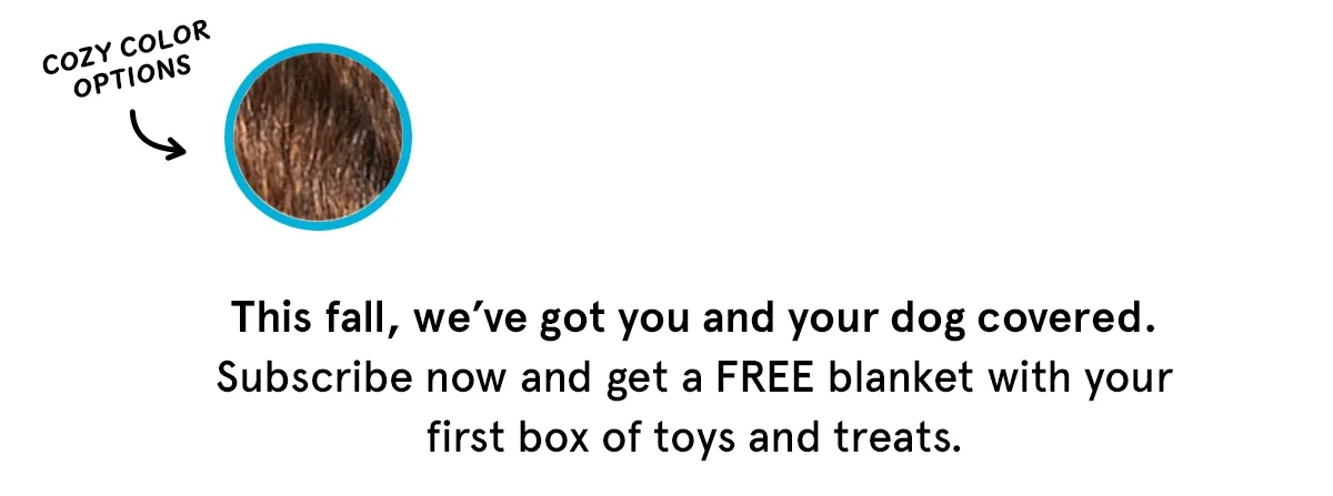 Claim Offer