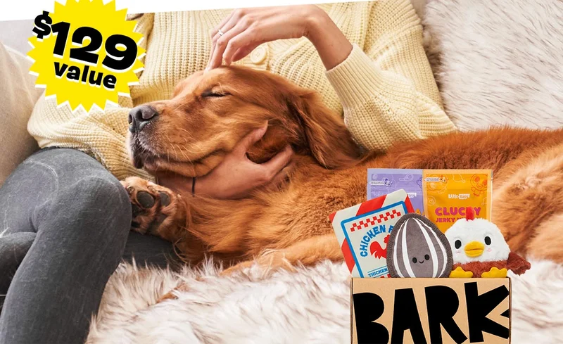 Dog Bed