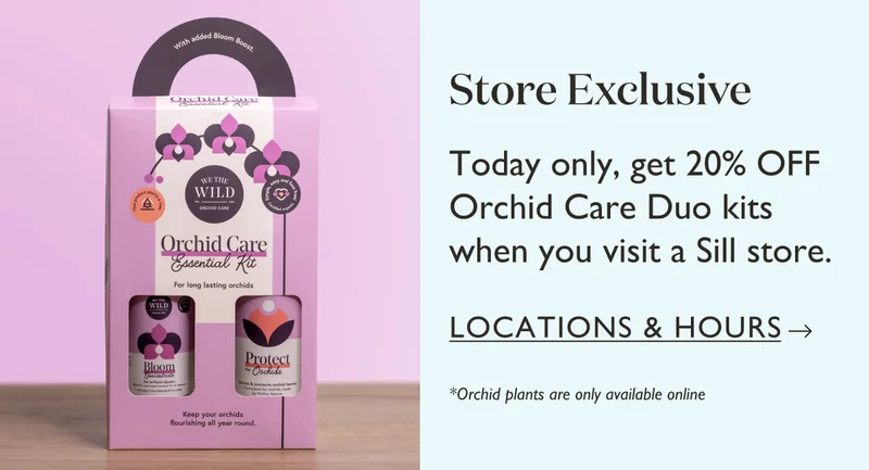 Store Exclusive: Today only, get 20% OFF Orchid Care Duo kits when you visit a Sill store. See Locations & Hours.