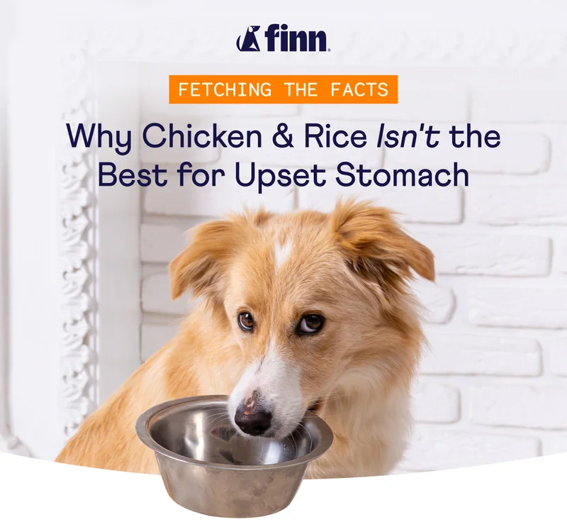 Why Chicken and Rice Isn't The Best For Upset Stomachs