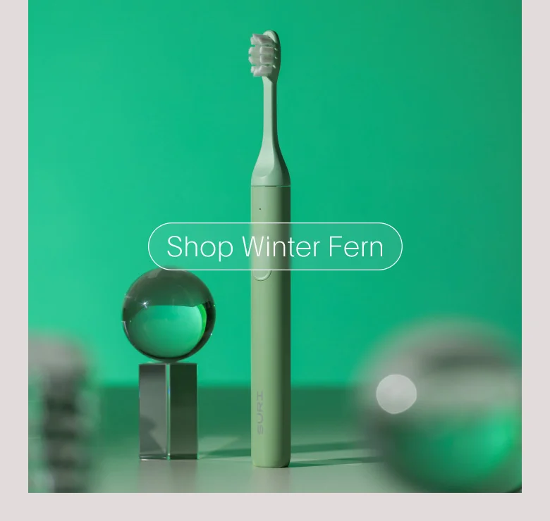Winter Fern